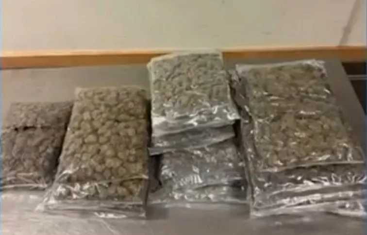 News Poster 28 Websize 9