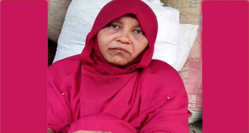 Web Image Copy 20260314