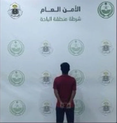 7e366825 5fef 4de8 bb45 a0a62c277958