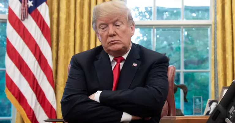 Donald Trump 6 768x402