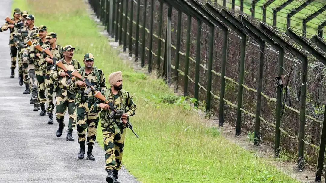 Bsf 3