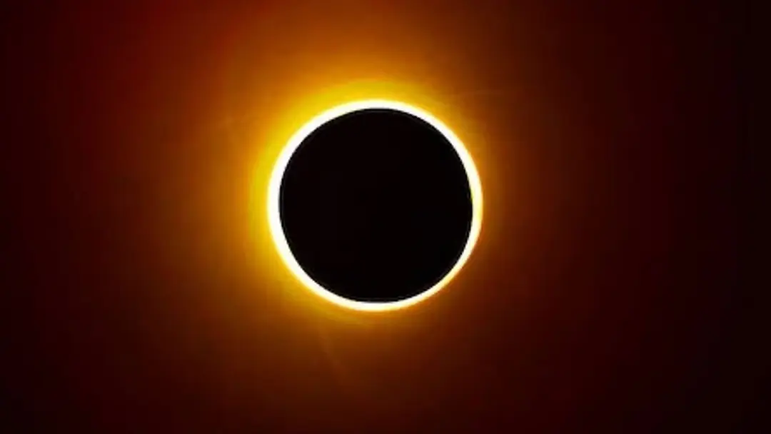 5445450354