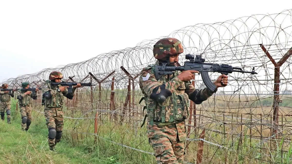 BSF bd